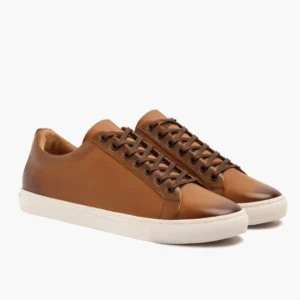 Premier Low Top